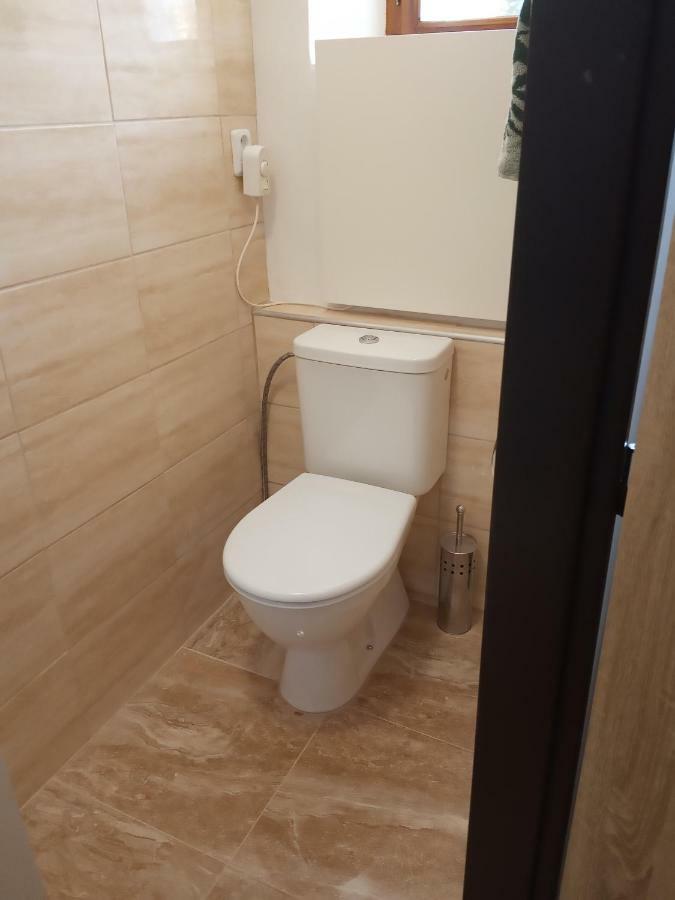 Apartment Pod Hradem Loket Εξωτερικό φωτογραφία