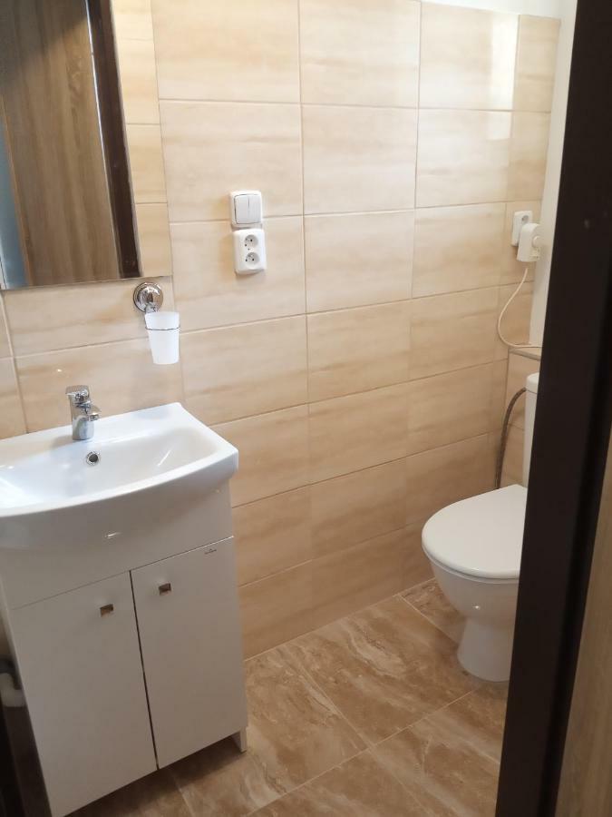 Apartment Pod Hradem Loket Εξωτερικό φωτογραφία